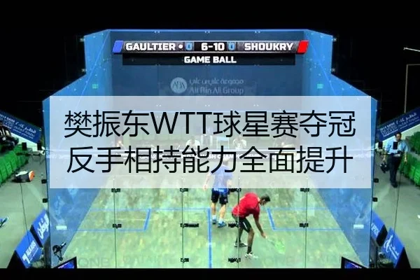 樊振东WTT球星赛夺冠 反手相持能力全面提升